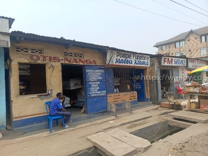 PARCELLE COMMERCIALE SUR MACADAM – N’DJILI