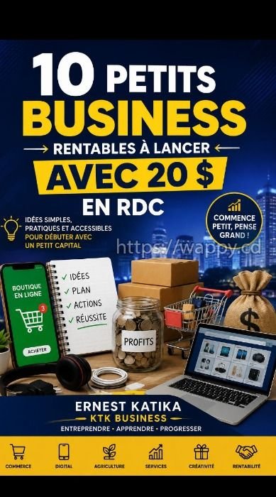 Guide pratique complet 10 petits busness rentable