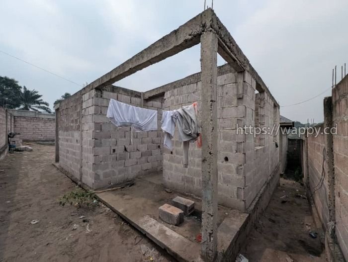 🏡 BIBWA N’SELE : PARCELLE DE 20/23 m soit 460 m²