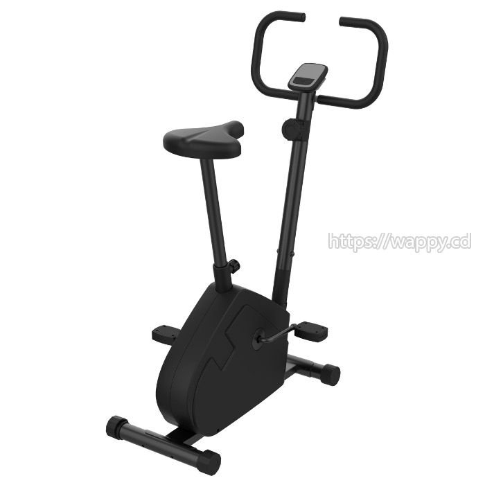 Vélo d’appartement pour Sport à domicile