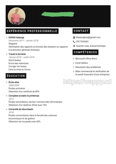 Creation de votre cv professionnel