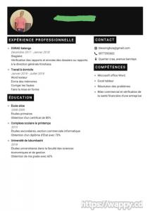 Creation de votre cv professionnel