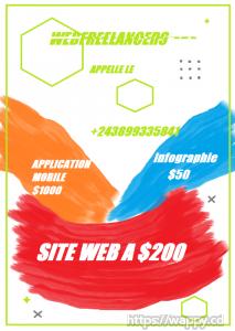 Site web design $200