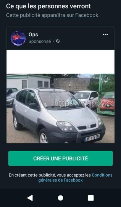 Renault scenic 4x4