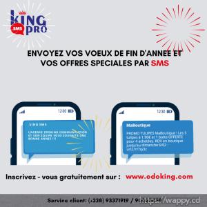 KING SMS PRO : ENVOI DES SMS MARKETING PROFESSIONN