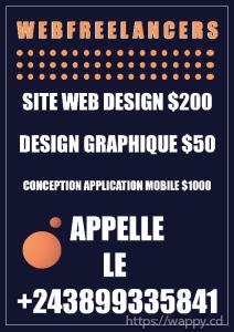 Designer de site Web e-commerce $200