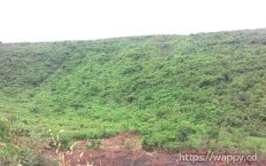 TERRAINS AGRICOLES