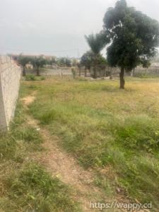 Terrain à vendre dans la commune de Nsele