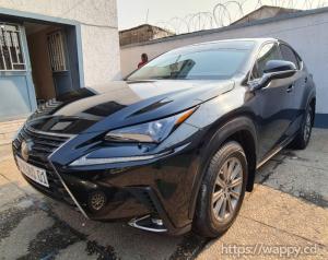 LEXUS NX300