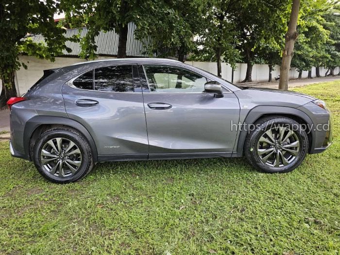 Lexus Ux neuf