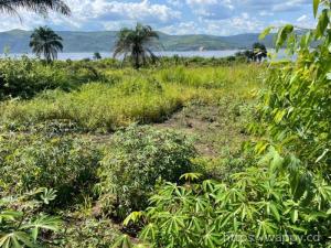 Terrain Vide 02HA à Maluku Au Bord du Fleuve