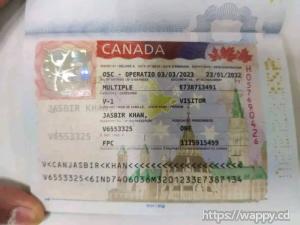 Assistance Visa canada et Schengen