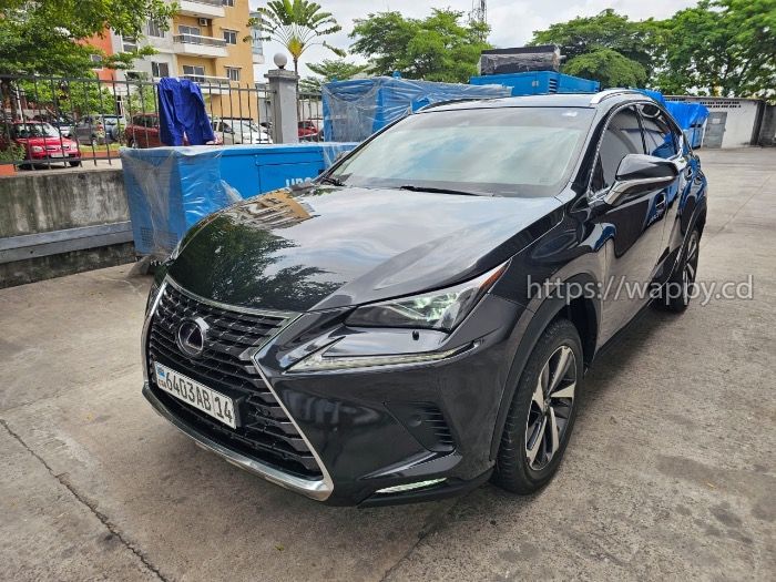 LEXUS NX 300