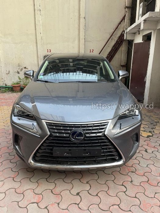 Lexus Nx 300h 2019