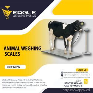 Heavy duty Animal weighing scales