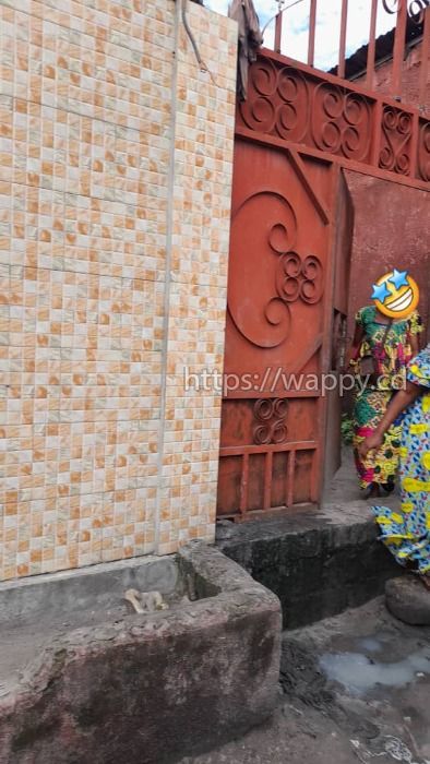 Vente parcelle avec des maisons à NDJILI Q13