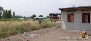 Parcelle à kindobo
