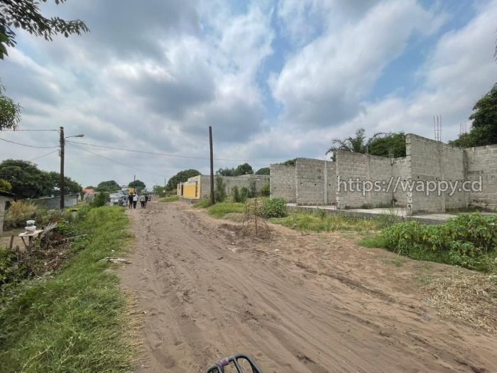 Parcelle à BIBWA commune de la NSELE