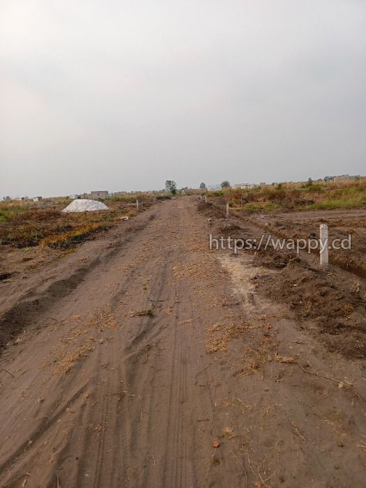 Terrains à N'sele Bingi Bingi
