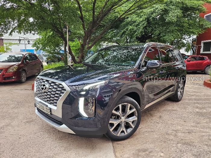 Hyundai palissade