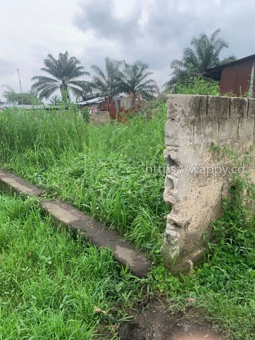 Parcelle avec une maison inachevé à Petro Congo