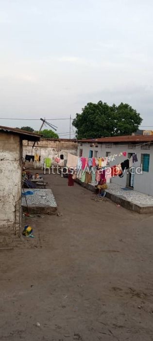 Une grande parcelle dans la commune de Ngaliema